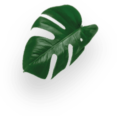 GRANDE INTENSO decoration Image